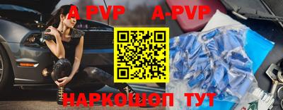 твердый Кингисепп