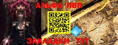 твердый Кингисепп