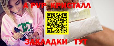 твердый Кингисепп