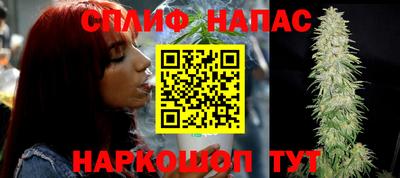 твердый Кингисепп