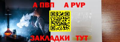 твердый Кингисепп