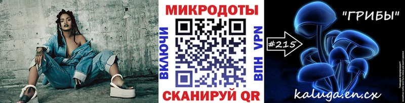 Псилоцибиновые грибы Psilocybe как найти наркотики Магадан