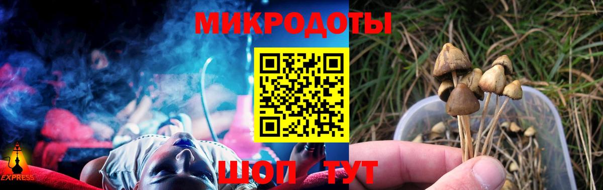 Псилоцибиновые грибы ЛСД  закладка  Магадан 