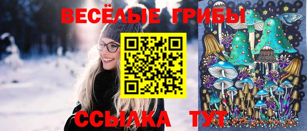 Галлюциногенные грибы Psilocybe  Вход с VPN  Магадан 
