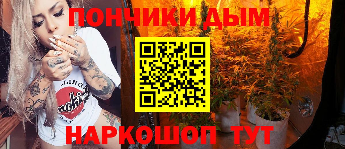 Конопля Bruce Banner  Канабис гибрид  Магадан  Бошки Шишки планчик  Вход с VPN 